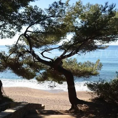 Apartamento L'Appartement Le Pradet